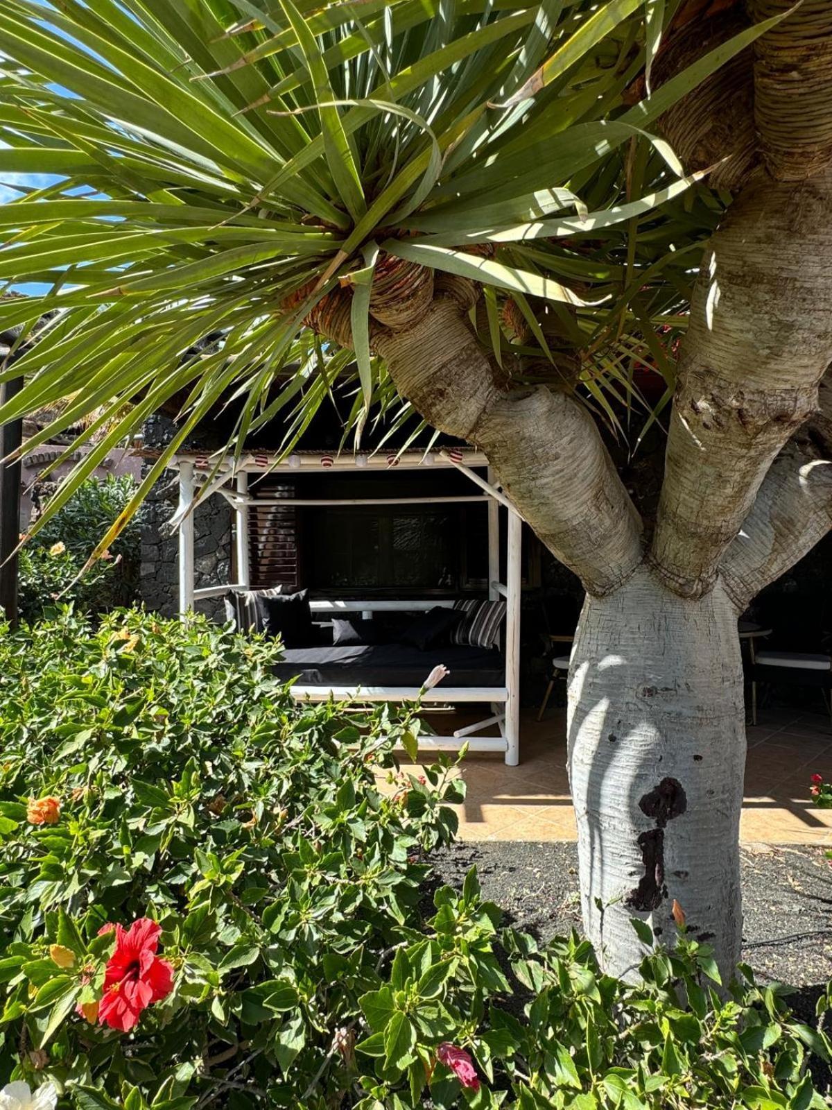 Castillo Lanzarote Villa Bailey - Luxury Villa - Pet Friendly With Heated Pool La Asomada  외부 사진