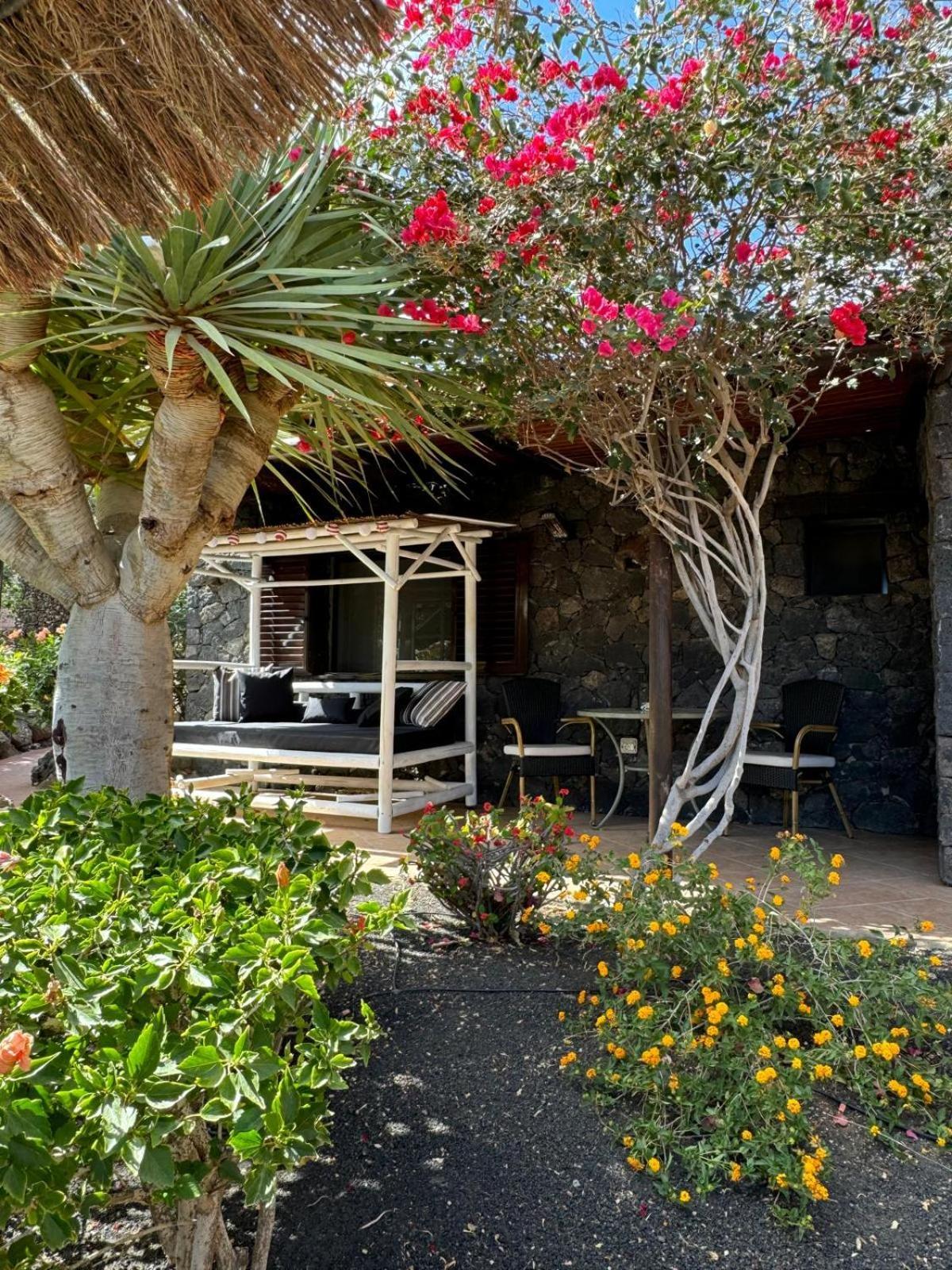 Castillo Lanzarote Villa Bailey - Luxury Villa - Pet Friendly With Heated Pool La Asomada  외부 사진